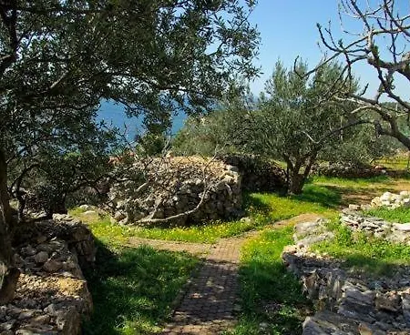 In With Sea View, Terrace, Air Conditioning, Wifi 5026-3 Apartment Murter