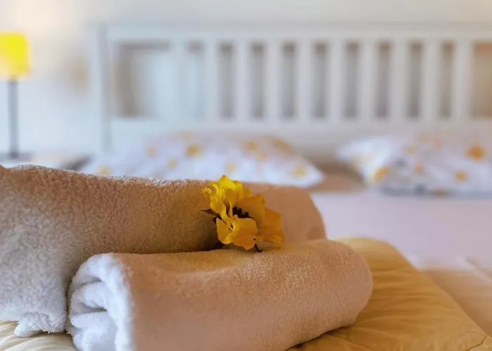 In With Sea View, Terrace, Air Conditioning, Wifi 5026-3 Appartement Murter