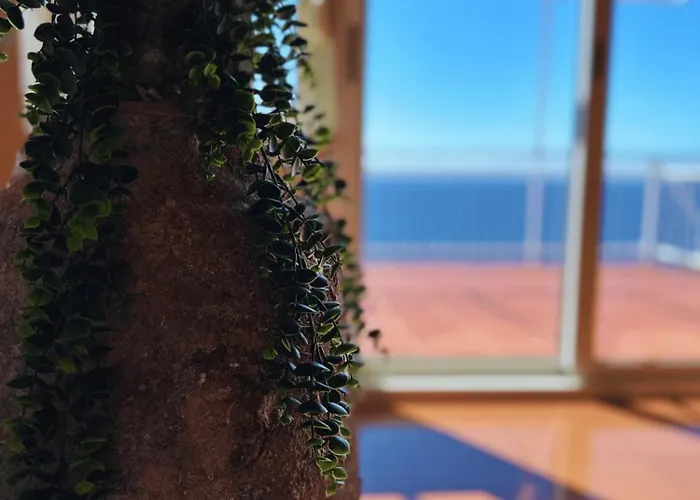 In With Sea View, Terrace, Air Conditioning, Wifi 5026-3 * Murter